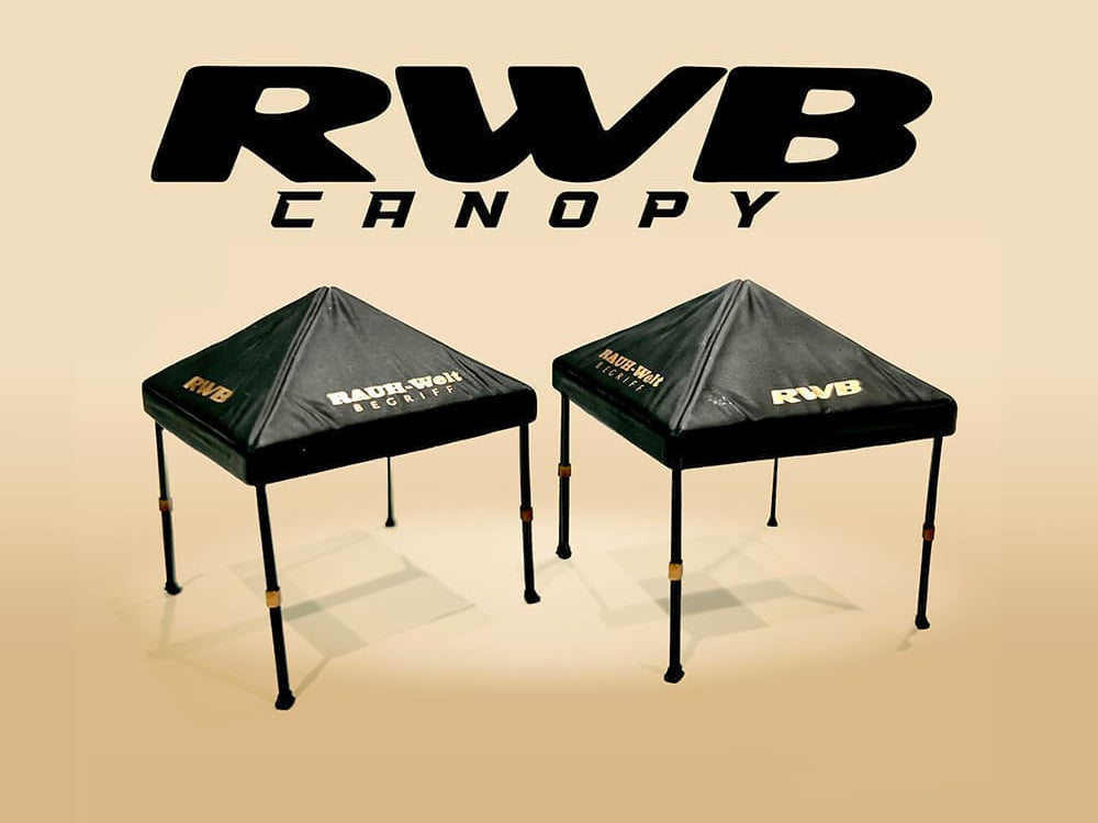 "RWB (RAUH-Welt BEGRIFF)" Canopy 2 Piece Set Black Limited Edition for 1/64 Scale Models by American Diorama - image 3